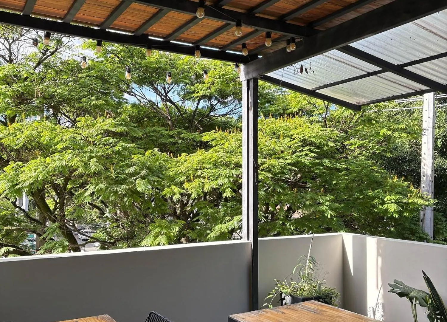 Casa Hotel Los Laureles Medellin Apartment